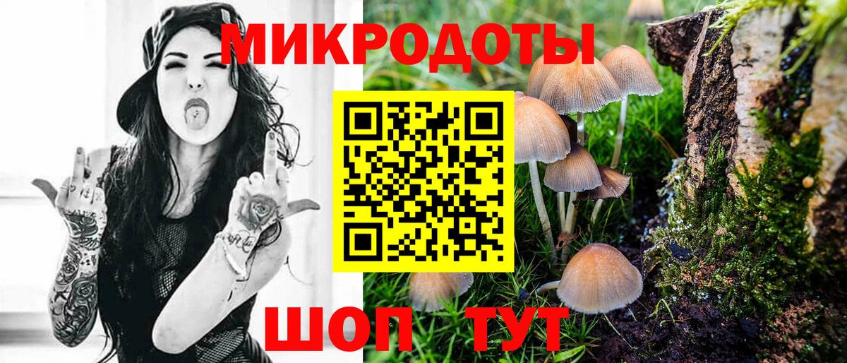 Черногорск  Псилоцибиновые грибы Cubensis  Вход с VPN 