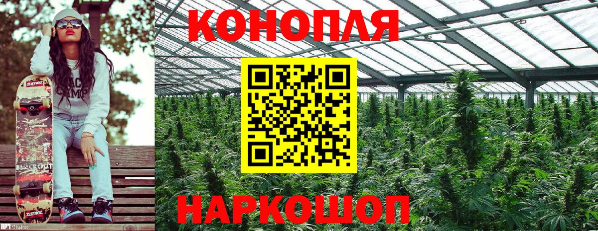 Шишки марихуана гибрид Черногорск